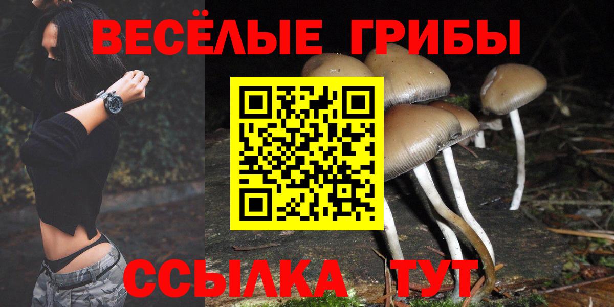 Псилоцибиновые грибы Psilocybe  купить наркотик  Туймазы  Вход с VPN 